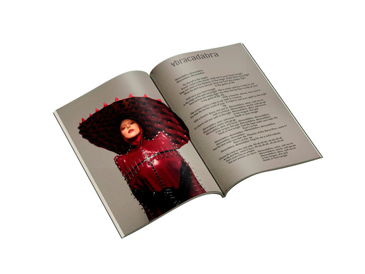 Lyricbook Mayhem - Lady Gaga